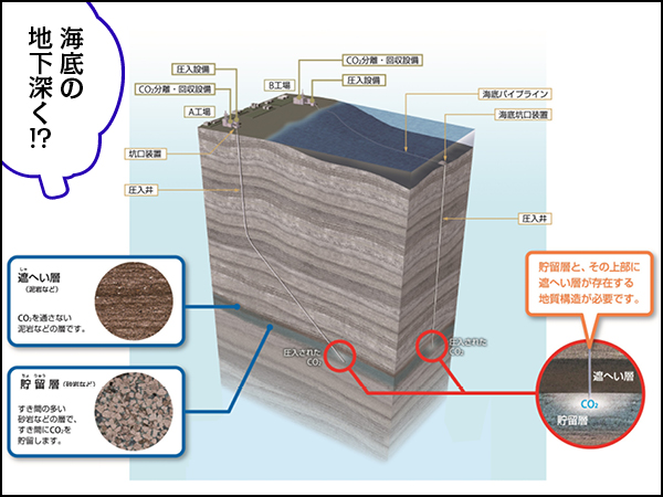 ConちゃんCCS後編